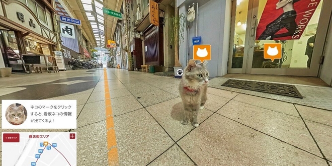 Cat Street View: Discover the World through a Cat's Eyes - Traveler's ...