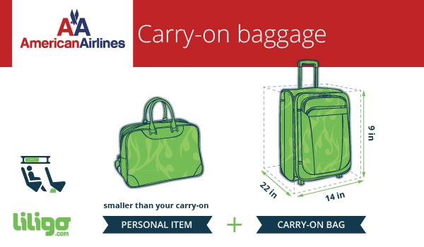 Baggage policies for American Airlines - Traveler's Edition
