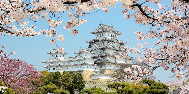 This Is When To See Japan's Famous Cherry Blossom Trees In Full Bloom ...